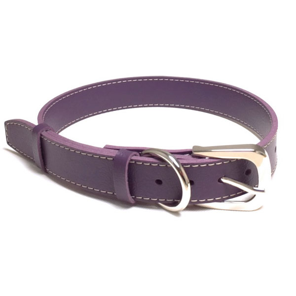 purple leather dog collar